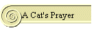 A Cat's Prayer