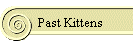 Past Kittens