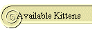 Available Kittens